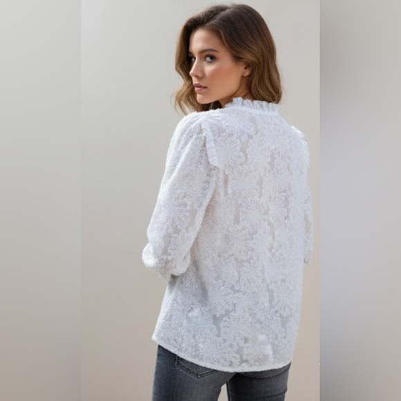 Fuzzy Notched Neck Bishop Sleeve Blouse - Picture 5 of 7